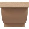 image2quotW x 4quotD x 4quotH Classic Alpine Rough Cedar Woodgrain TimberThane Corbel Primed Tan8in W x 8in D x 8in H