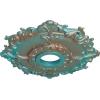 imageEkena Millwork CM18RL 18Inch OD x 3 12Inch ID x 1 12Inch Riley Ceiling MedallionCopper Green Patina Metallic Series