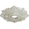 imageEkena Millwork CM18RL 18Inch OD x 3 12Inch ID x 1 12Inch Riley Ceiling MedallionFlash Blue Metallic Series