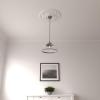 imageEkena Millwork CM20VI 20Inch OD x 3 12Inch ID x 1 12Inch P Vienna Ceiling MedallionPrimed