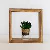 imageEkena Millwork DECR15SBSQOBBR Set of 3 Square Open Back Vintage Farmhouse Shadow Box Shelves Barnwood Decor Collection Weathered BrownNatural Barnwood
