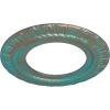 imageEkena Millwork CM10CL Claremont Ceiling Medallion 10 58quotOD x 5 34quotID x 12quotP Factory PrimedHandPainted Copper Green Patina