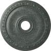 imageEkena Millwork CM20JA 20Inch OD x 3 58Inch ID x 1Inch P Jackson Ceiling MedallionAthenian Green Crackle Flat Finish