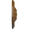 image11 38OD x 2P Acanthus Ceiling MedallionHandPainted Smokey Topaz