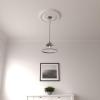 imageEkena Millwork CM20BE1PAS Berkshire Ceiling Medallion Pale GoldPrimed