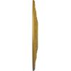 imageEkena Millwork CM20VIPCF Vienna Ceiling Medallion fits Canopies up to 6 12 Pot of CreamPharaohs Gold Metallic Series