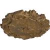 image16 34OD x 1 38P Plymouth Ceiling Medallion Fits Canopies up to 1 58Rubbed Bronze Metallic Series
