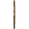 image36W x 26H x 1 12P Pesaro Ceiling MedallionHandPainted Rubbed Bronze