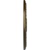 imageEkena Millwork CM18RA 18 18Inch OD 3 58Inch ID x 1 18Inch P Raymond Ceiling MedallionHandPainted Brass