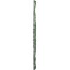 image25 58OD x 1P Shell Ceiling MedallionAthenian Green Flat Finish