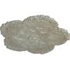 image25 58OD x 1P Shell Ceiling MedallionFlash Gold Metallic Series