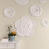 image25 58OD x 1P Shell Ceiling MedallionPrimed