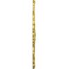 image25 58OD x 1P Shell Ceiling MedallionRich Gold Metallic Series