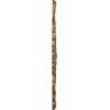 image25 58OD x 1P Shell Ceiling MedallionRubbed Bronze Metallic Series