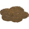 image25 58OD x 1P Shell Ceiling MedallionRubbed Bronze Metallic Series