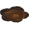 image25 58OD x 1P Shell Ceiling MedallionRust Metallic Series