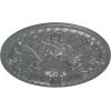 imageEkena Millwork 26OD x 3P Tristan Ceiling Medallion Fits Canopies up to 5 12Platinum Metallic Series