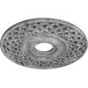 imageEkena Millwork CM22RBUWF Robin Ceiling Medallion Ultra Pure WhiteUltra Pure White Crackle Flat Finish
