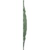 imageEkena Millwork CM38OLSGS 38 38OD X 6 58ID X 2 78P Orleans Ceiling Medallion Fits Canopies Up To 8 14 Steel GrayAthenian Green Flat Finish
