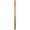 imageEkena Millwork CM42SK Sellek Ceiling Medallion 42 18OD x 1 78P Fits Canopies up to 9 Factory PrimedIridescent Gold Metallic Series