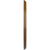 imageEkena Millwork CM42SK Sellek Ceiling Medallion 42 18OD x 1 78P Fits Canopies up to 9 Factory PrimedSmokey Topaz Flat Finish
