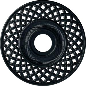 imageEkena Millwork CM22RBUWF Robin Ceiling Medallion Ultra Pure WhiteNight Shade Flat Finish