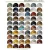 image11 34OD x 38P Stockport Ceiling MedallionHandPainted Brass