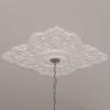 image42 34W x 28 78H x 1P Ashford Ceiling MedallionPrimed