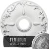 Platinum (Metallic Series)